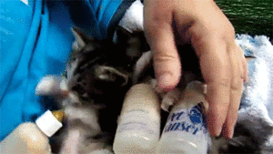 Baby GIF. Baby Engel Prinses Gifs Miss een Jia Gif: missen Ik bracht 80 jaar het verplaatsen 