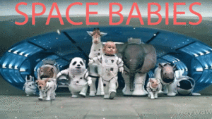 Honden GIF. Dieren Eten Soep Schattig Puppy Baby Ziek Gifs Hond Nom Hongerig Aww Voeden Het eten Voede 