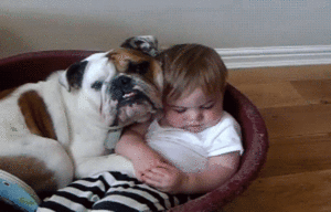 Olifant GIF. Dieren Olifant Baby Gifs 