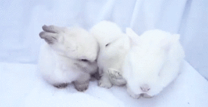 Baby GIF. Grappig Film The incredibles Baby Brand Gifs Scifi Schrik Boosheid Superheld Ver 