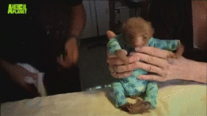 Baby GIF. Schattig Demi lovato Baby Gifs Mooi Lach Aw Schattig gif Lach gif Demi lovato gif Lova 