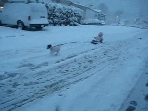 Baby GIF. Baby Gifs 