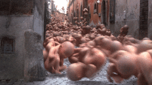 Baby GIF. Dieren Olifant Baby Gifs 