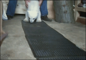 Baby GIF. Baby Gifs Schreeuw Man Proberen X Notulen Veel Gehoord 
