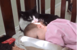 Baby GIF. Baby Dom Gifs Shaytards Rocktard Schattige baby Kiekeboe Peekaboo 