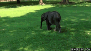Baby GIF. Meisje Baby Robot Gifs Met Bogen 