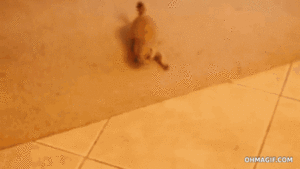 Baby GIF. Baby Star trek Gifs  Zoet Star trek into darkness Jim kirk Captain kirk James kirk Idst 