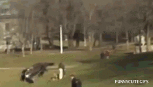 Baby GIF. Baby Ruimte Gifs Dans Gelukkig Aanbiddelijk Rotoscope Schattig 3 jaar oude is erg blij om 