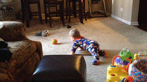 Baby GIF. Dieren Baby Gifs Bal Dieren zijn lullen 