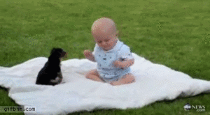Baby GIF. Baby Gifs Vrolijkheid Blaine anderson 