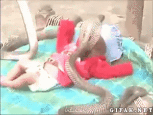 Baby GIF. Baby Gifs 
