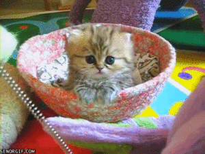 Baby GIF. Baby Sexy Gifs Heet Remy lacroix 