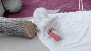 Baby GIF. Baby Star trek Gifs  Zoet Star trek into darkness Jim kirk Captain kirk James kirk Idst 