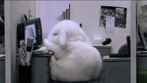 Baby GIF. Baby Gifs Periode Vandaag Blackpeoplegifs 