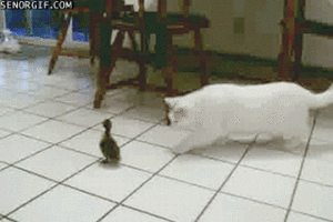 Baby GIF. Liefde Baby Isabella Gifs  Boom Ik houd van u Geluk Spatten Bad tijd Myphotos 