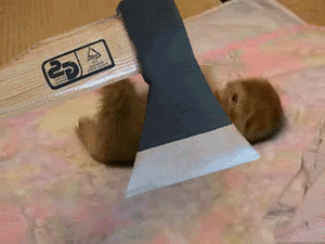 Baby GIF. Baby Engel Prinses Gifs Miss een Jia Gif: missen Ik bracht 80 jaar het verplaatsen 