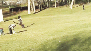 Baby GIF. China Baby Gifs Metro Taiwanese animatie Nmatv Openbaar vervoer Vandalisme Plassen Toer 