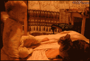 Baby GIF. Disney Tarzan Baby Gifs 