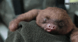 Baby GIF. Bioscoop Vliegtuigen Baby Kinderen Gifs Wtf Klassiek 