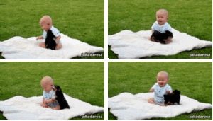 Baby GIF. Dieren Baby Kat Gifs Likken Lachend Proeverij 