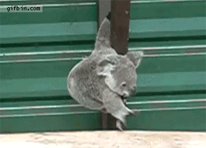 Baby GIF. Baby Koffie Gifs Mislukken Grootmoeder Morsen 