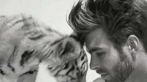 Baby GIF. Dieren Baby Verpleging Gifs Voeden 