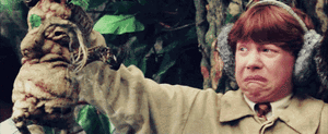 Baby GIF. Baby Harry Gifs Pottenbakker Wemel Rupert Grint Azkaban Rowling 