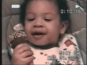 Honden GIF. Dieren Baby Gifs Hond Teckel Photobomb 