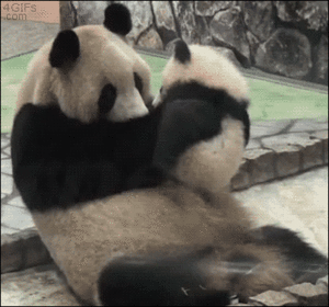 Baby GIF. Baby Ninja Gifs Tik Enter the dragon 