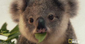 Baby GIF. Vallen Baby Rick Gifs Cartoons en comics Avontuur tijd Cartoon network Bmo Zeepbel Moed 