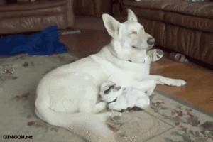 Baby GIF. Baby Gifs Parken en rec 