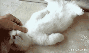 Baby GIF. Meisje Duitsland Baby Gifs M&uuml;nchen 