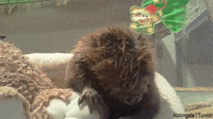 Baby GIF. Ijs Baby Sneeuw Gifs Kind Kleuter Schattige baby Grappige kinderen 