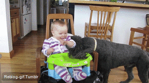 Baby GIF. Baby Gifs Vrolijkheid Blaine anderson 