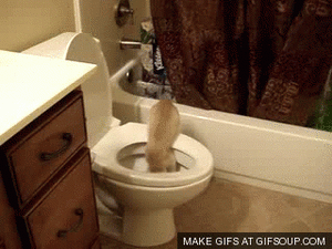 Baby GIF. Baby Gifs 2011 Ezra miller Een andere gelukkige dag 