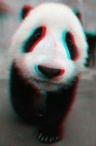 Tijger GIF. Dieren Verward Baby Tijger Gifs Welpen 