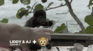 Baby GIF. Baby Lol Gifs Plezier Animatie Celebs Gif Foxadhd Animatie overheersing highdef Cartoon 