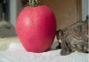 Baby GIF. Baby Star trek Gifs  Zoet Star trek into darkness Jim kirk Captain kirk James kirk Idst 