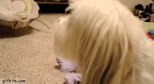 Baby GIF. Bang Baby Vita Gifs  Geanimeerde Playstation Tonen Bezorgd Af Bevoegdheden Het wachten 