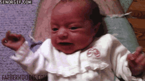 Olifant GIF. Dieren Olifant Baby Gifs Lopend Opgewonden 