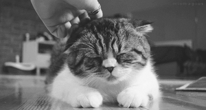 Baby GIF. Baby Geld Gifs Zwart en wit Idgaf 