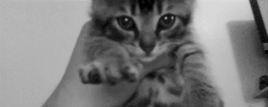 Baby GIF. Baby Gifs Glimlach American idol American idol xiii Sam woolf Top 8 Baby foto 