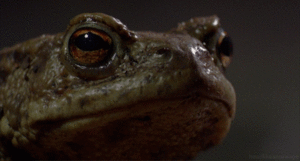 Baby GIF. Baby Gifs Gelukkige verjaardag Freecocaine Ava gardner 