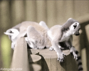 Baby GIF. Tien Baby Tv Gifs Heet Arts die David tennant Tiende arts Dw Tennant Hij is zo schatti 
