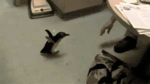 Baby GIF. Disney Tarzan Baby Gifs Huggies 
