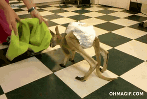 Baby GIF. Baby Gifs Gelukkig Bubbels 