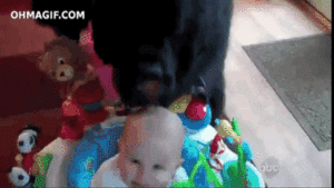 Baby GIF. Meisje Baby Gifs Reactiongifs Stem Schattige 