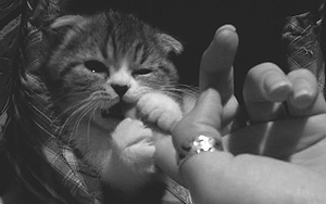 Baby GIF. Baby Gifs Vrolijkheid Rachel berry 