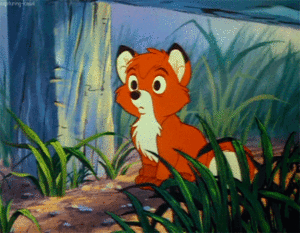 Baby GIF. Dieren Schattig Baby Egel Gifs Geeuw 