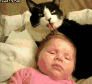 Baby GIF. Halloween Liefde Heksen Baby Gifs Dating Celebs Komedie Heks Baby&amp;#39;s Web exclus 